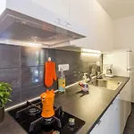 Sabijan Superior Deluxe Apartment *